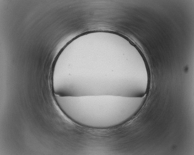 X0000115501293200912041030
