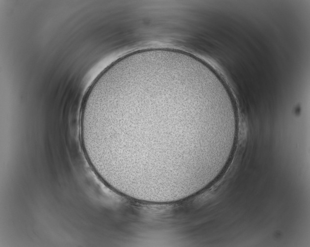 X0000115501294200912041030