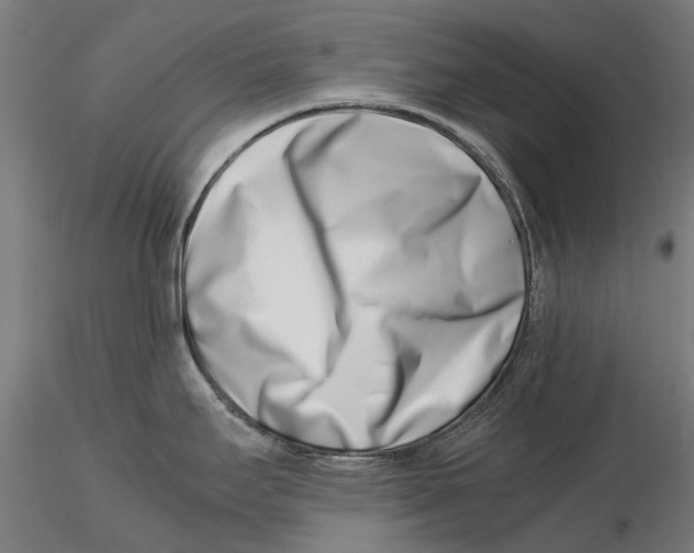 X0000115501295200912041030