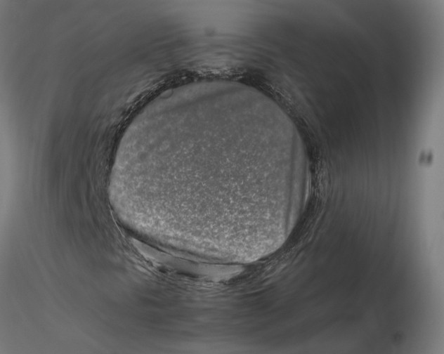 X0000115501297200912041029