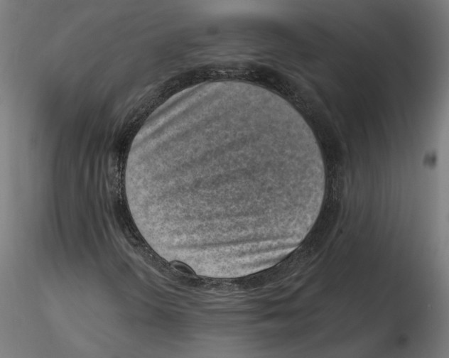 X0000115501298200912041029
