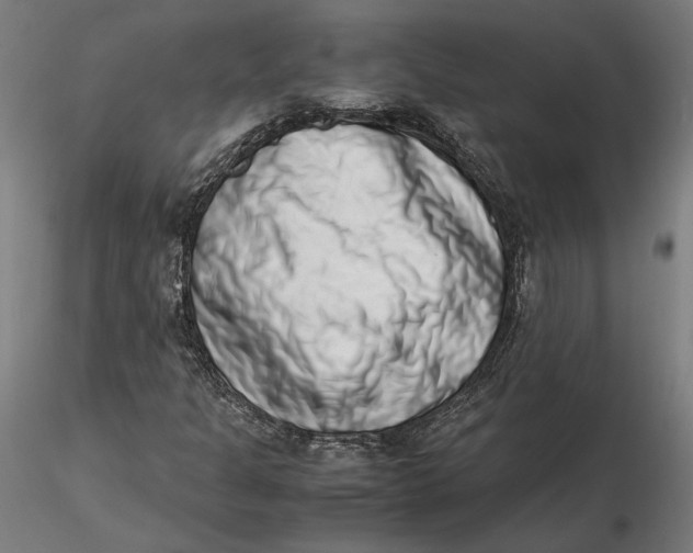 X0000115501301200912041029