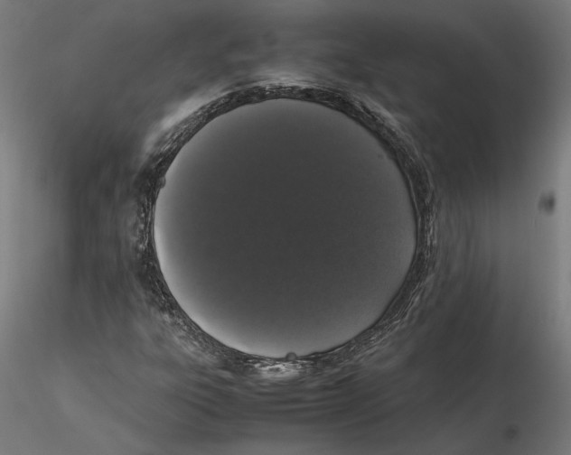 X0000115501303200912041029