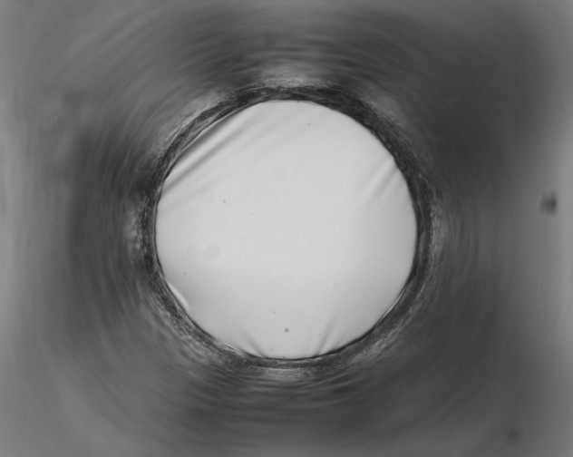 X0000115501305200912041029