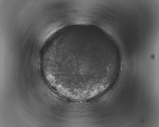 X0000115501306200912041029