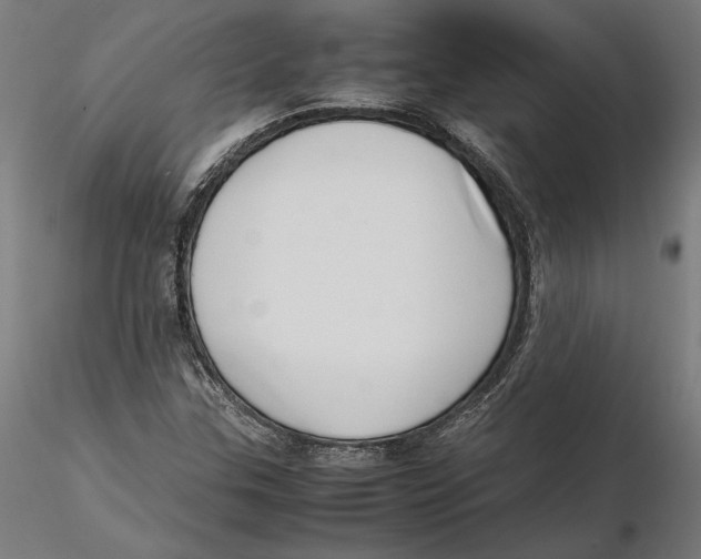 X0000115501307200912041029
