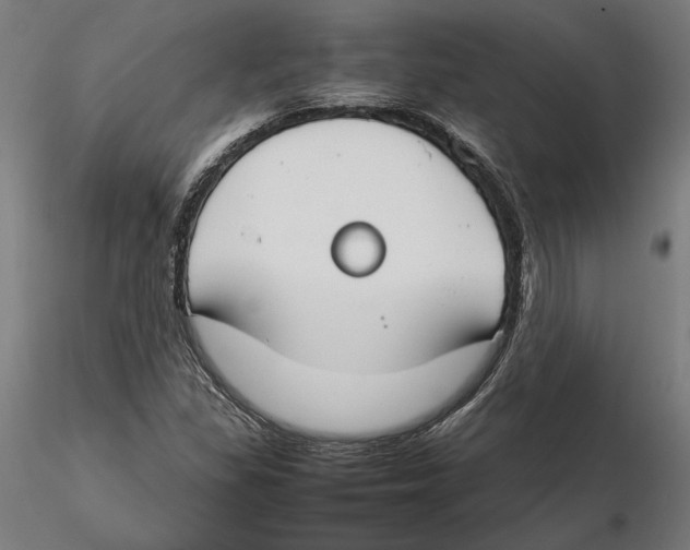 X0000115501309200912041029