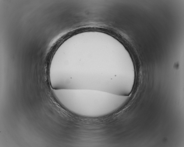 X0000115501310200912041029