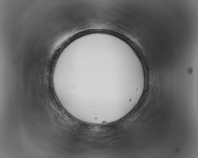 X0000115501311200912041029