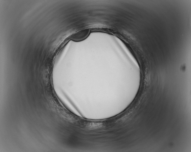 X0000115501313200912041029