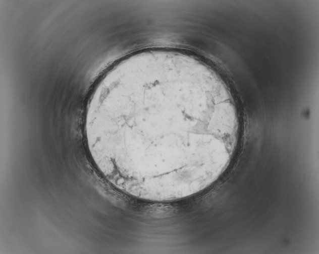 X0000115501314200912041029