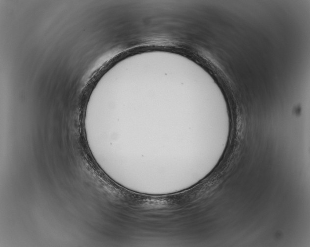 X0000115501315200912041029