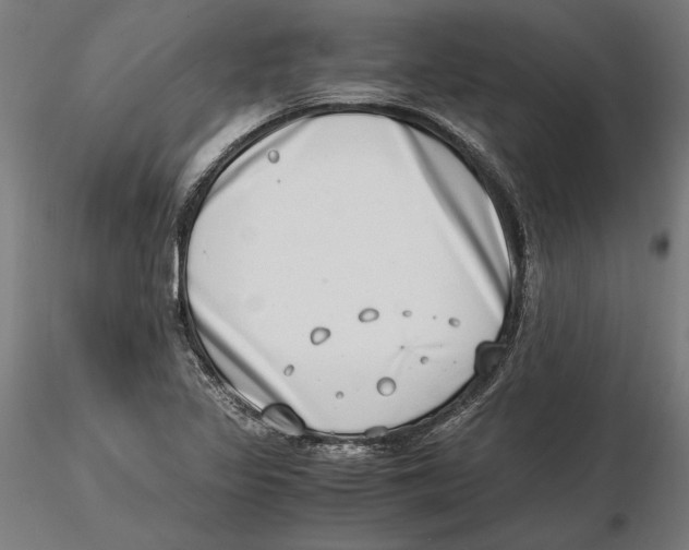 X0000115501317200912041029