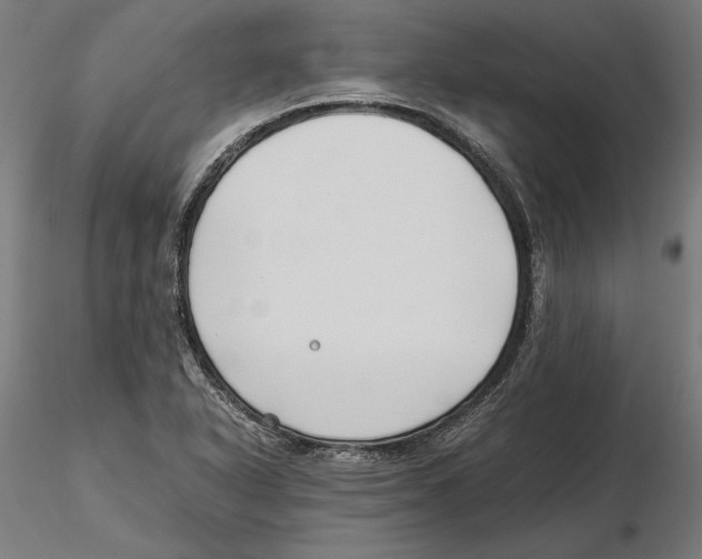 X0000115501318200912041029