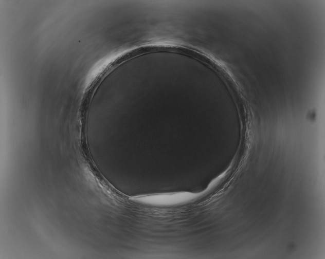 X0000115501319200912041029