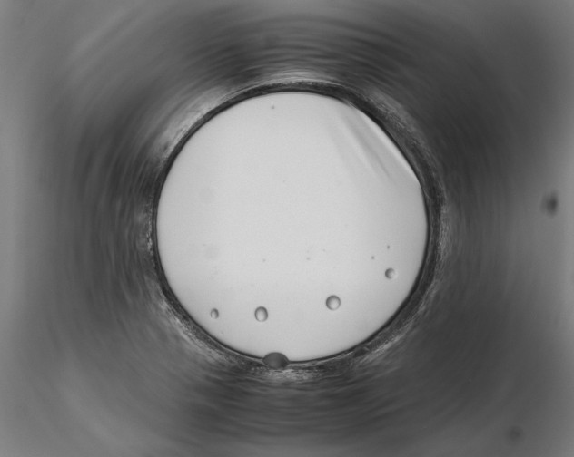 X0000115501321200912041029