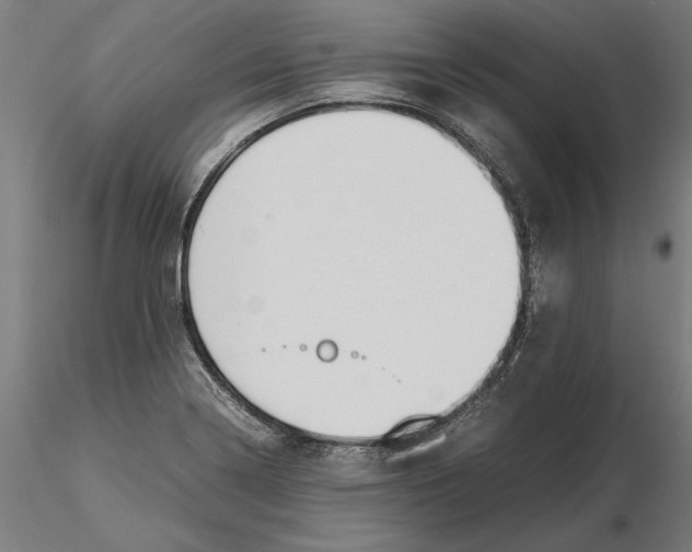 X0000115501322200912041029