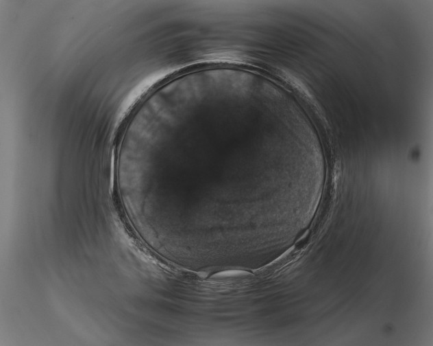 X0000115501323200912041029