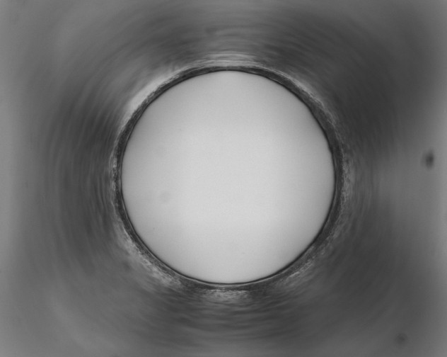 X0000115501325200912041029