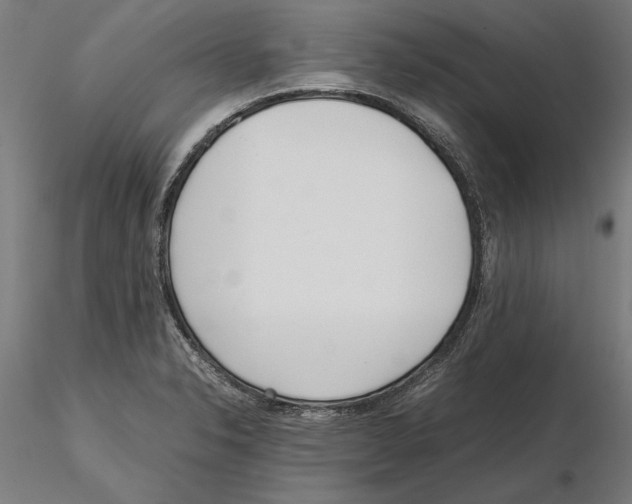 X0000115501326200912041029