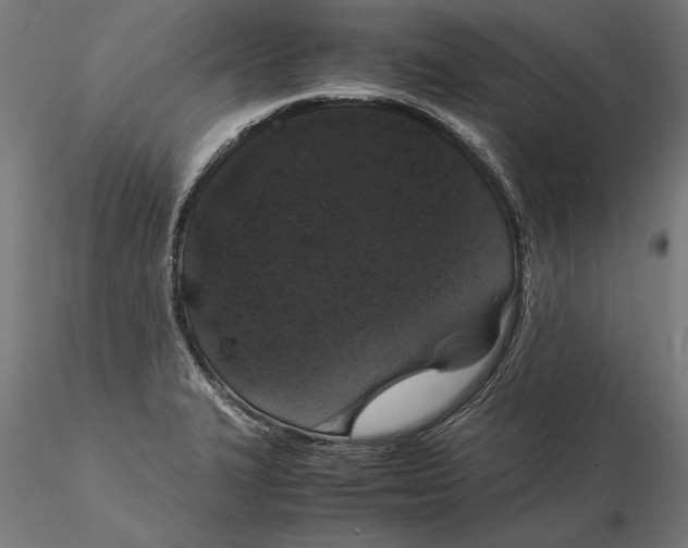X0000115501327200912041029