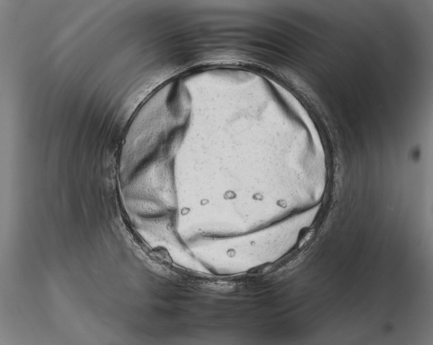 X0000115501329200912041029