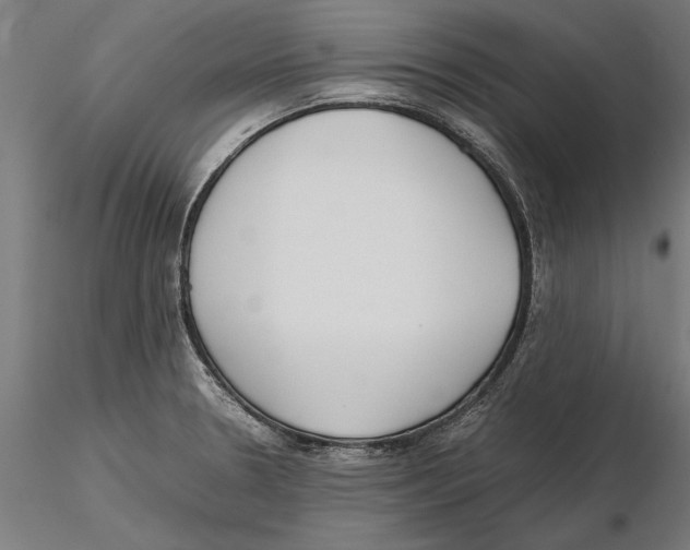 X0000115501330200912041029