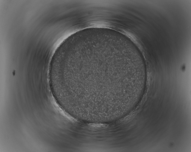 X0000115501331200912041029