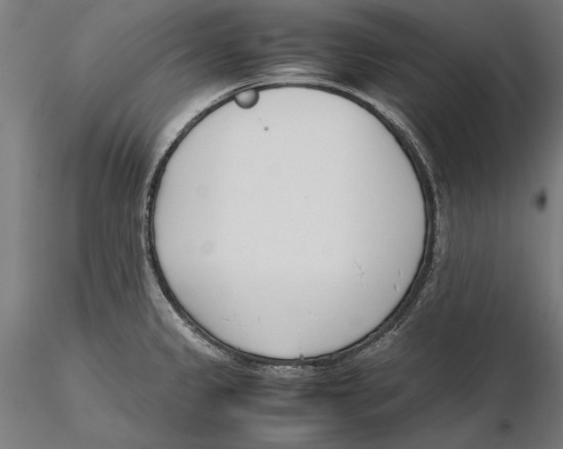 X0000115501333200912041029