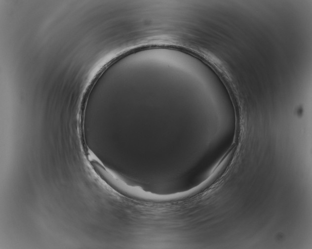 X0000115501334200912041029