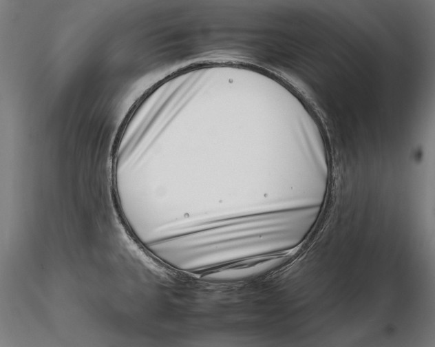 X0000115501335200912041029