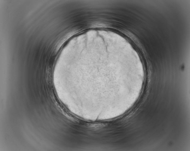 X0000115501337200912041029