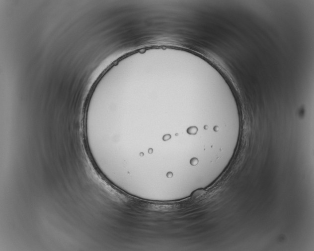 X0000115501339200912041029