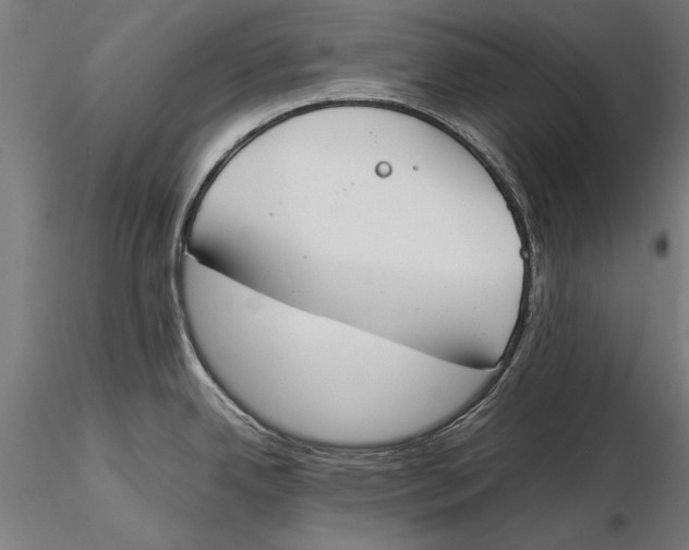 X0000115501342200912041030
