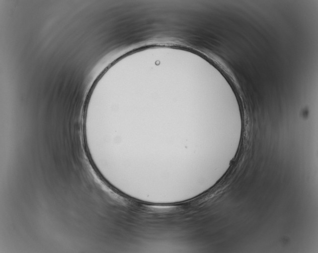 X0000115501343200912041030