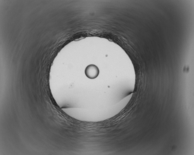 X0000115501345200912041029