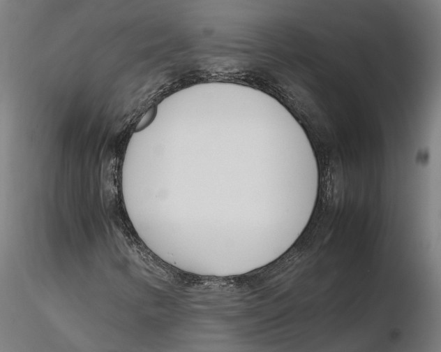 X0000115501346200912041029