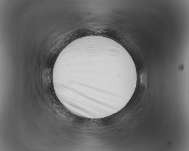 X0000115501347200912041029