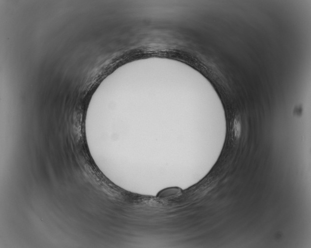 X0000115501348200912041029
