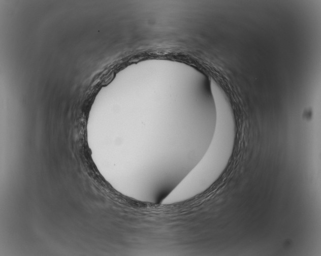 X0000115501349200912041029