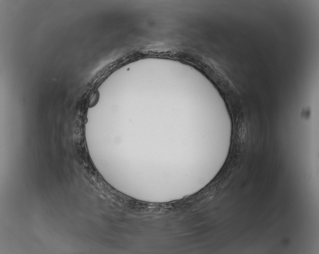 X0000115501350200912041029