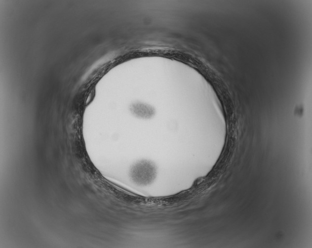 X0000115501351200912041029
