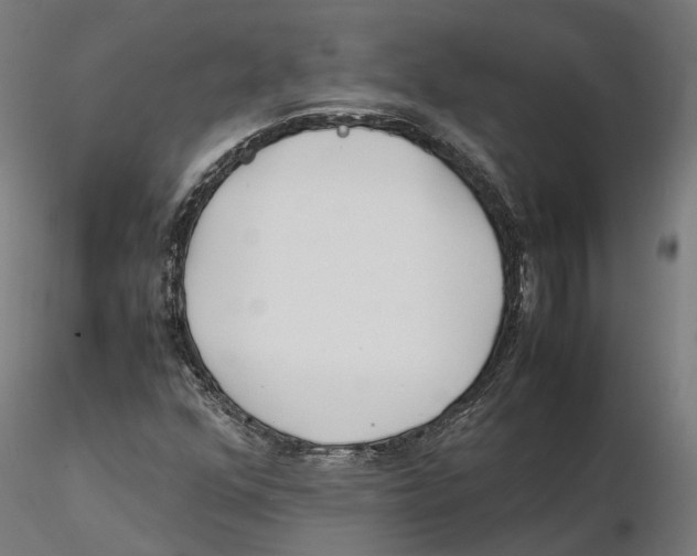 X0000115501352200912041029