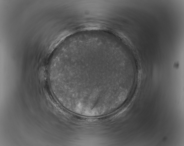 X0000115501353200912041029