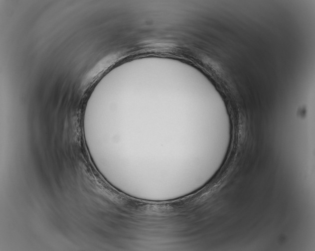 X0000115501354200912041029