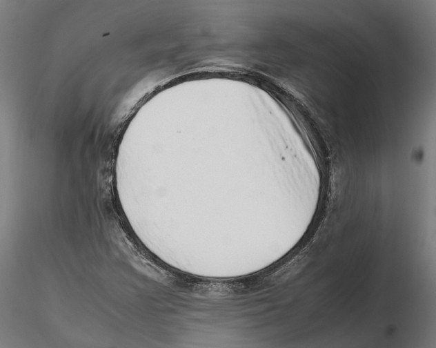 X0000115501355200912041029
