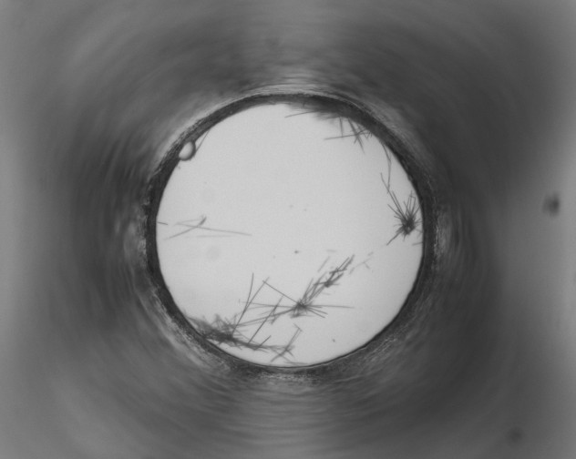 X0000115501356200912041029