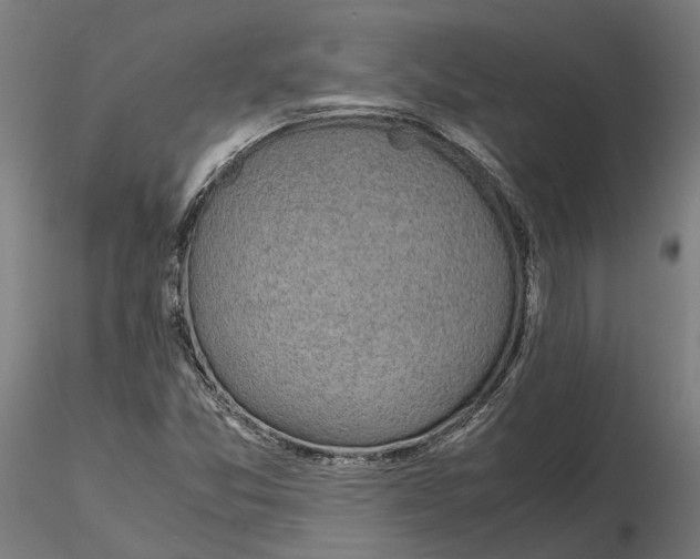 X0000115501357200912041029