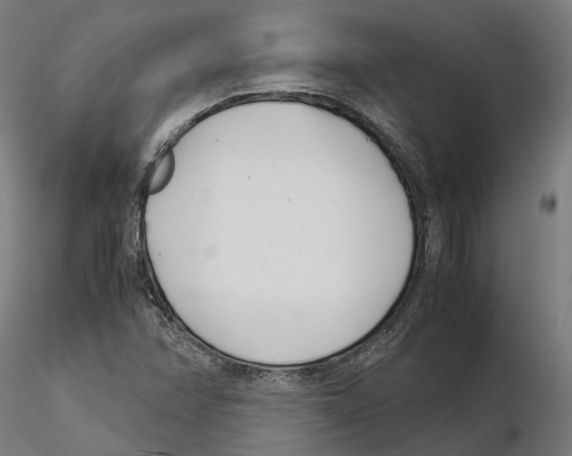 X0000115501358200912041029
