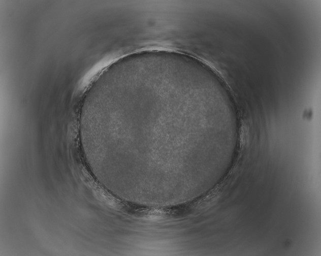 X0000115501359200912041029